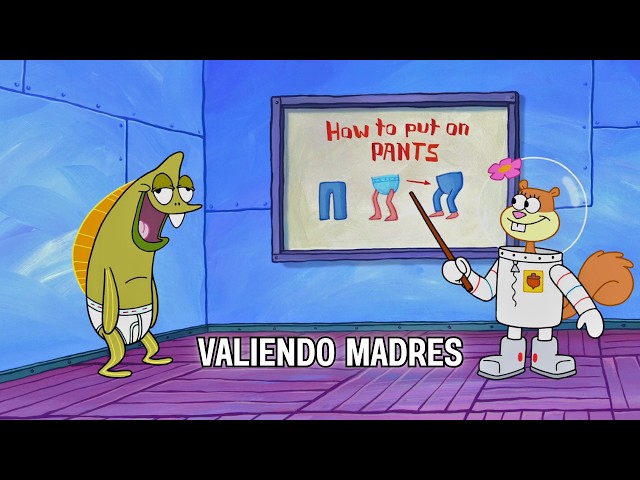 Vídeo relacionado con Ultimate Guard - Squaroes - Boulder 100+ - SpongeBob SquarePants Wave 2 - SB013 - Mrs. Puff