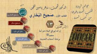 صورة 13 - مجالس الرواية || صحيح البخاري : رقم الحديث من 1100 إلى 1200 || د.ماهر الفحل