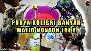 Download lagu KONIN GACOR FEED CONCLUSION WITHOUT A LOT OF ant eggs mp3