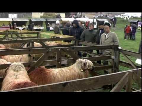 Híradó 2016. október 10. – Erdélyi Magyar Televízió