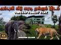 Wild Stay In Topslip Ambuli Illam ATR SimbaaVlogs