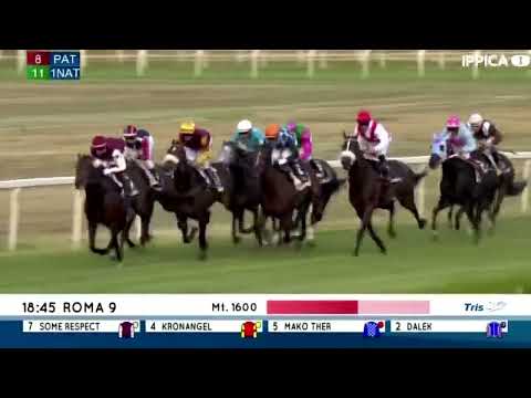 2022.05.22 Premio Mauro Sbarigia (ITA) - Dalek