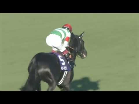 2021.12.28 Hopeful Stakes (JPN) - Killer Ability