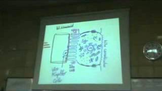 Dr. Gihan digestive 10 -part 2