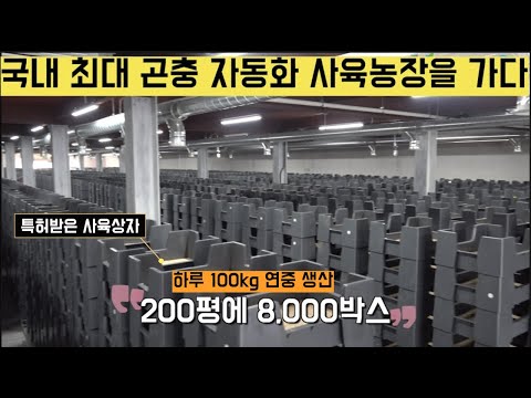 , title : '[한국농수산TV] 200평에 8,000박스!! 국내 최초 곤충 자동화 사육시스템을 만든 김귀호 농부를 찾아서 - 전북 남원'