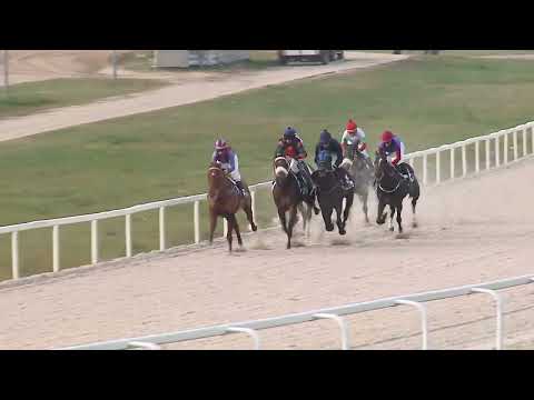 2022.11.20. 02. futam - VÁROSLIGETI HENDIKEP (II.o.) (szintetikus pálya)