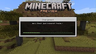 How to have the new shader in Minecraft Preview😮✨
