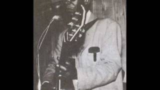 Elmore James - Sunnyland  （1963）