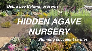 Jeremy Spath's Rare Agaves, Cultivars