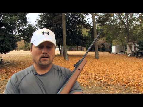 Top 3 Crosman Air Rifles To Buy in 2022 | Crosman Air Rifle