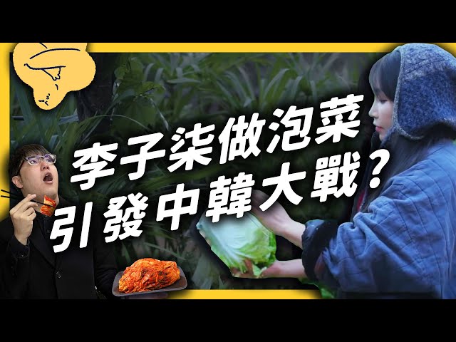 中國的千萬 YouTuber 李子柒，為何被韓國網友出征？中韓泡菜大戰到底在戰什麼？《食物知識大拼盤》EP010｜志祺七七