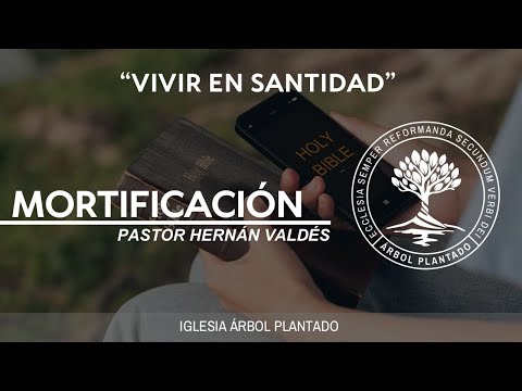 370 - Vivir en santidad - Mortificación