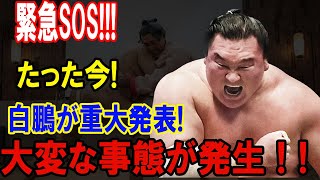 暴力問題で相撲界崩壊！元横綱白鵬の師匠失格、宮城野部屋閉鎖の衝撃内幕