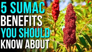 5 Incredible Benefits of Sumac to Know! | Sumac Spice Health Benefits
