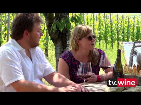 How To Drink Like a Sommelier Jessica Altieri #256