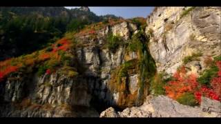 Garbage So we can stay alive