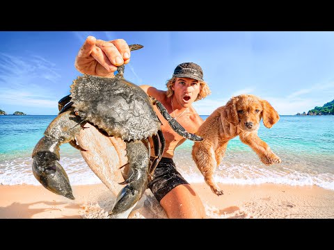Giant Mud Crab Catch n Cook With My New Puppy