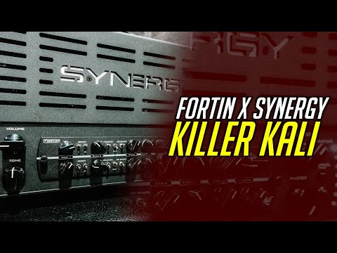 Synergy Fortin Killer Kali Modul image 6