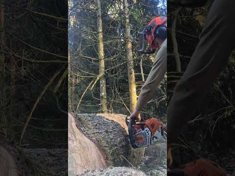 Affutage lime triangle