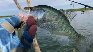 Summer Crappie In Kansas
