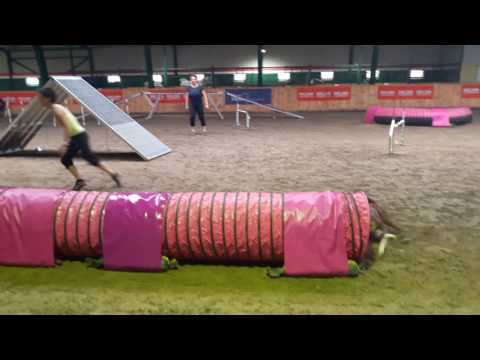 Tig Agility A1 clean Ferbonex