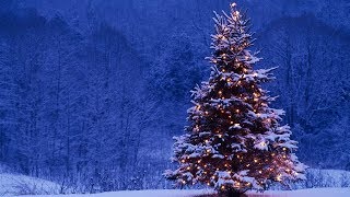 Download lagu Christmas Ringtone We Wish You A Merry Christmas ByTSsJm mp3 Download lagu Christmas Ringtone We Wish You A Merry Christmas ByTSsJm mp3