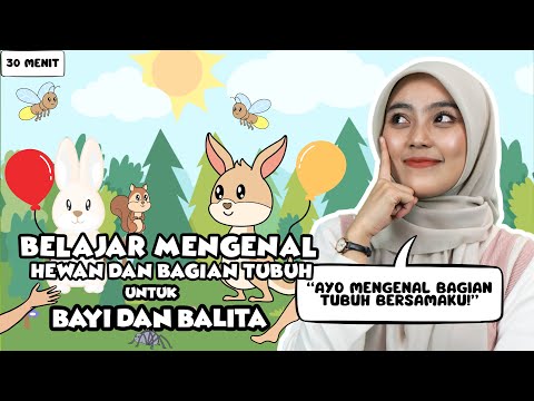 Belajar Untuk Bayi Dan Balita - Mengenal Anggota Tubuh, Nursery Rhymes Untuk Bayi Dan Balita