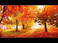 "September Autumn Peace" Beautiful Relaxing Music, Peaceful Soothing Music by Tim Janis