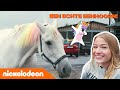 ? De ECHTE EENHOORN van team Morgane! ? | De Viral Fabriek | Nickelodeon Nederlands
