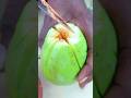 Raw Mango cutting l Spicy 🤤 mango eating #shorts
