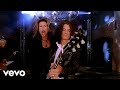 Aerosmith - Hole In My Soul (Official Video)