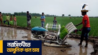 নরসিংদী শিবপুরে আধুনিক ধান চাষ