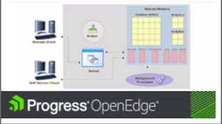 OpenEdge: Tuning Database Buffers Online 