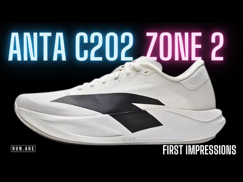 ANTA C202 ZONE 2: First Impressions