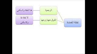 صورة فقه الأسرة (33) نفقة المعتدة - عامر بهجت - التأهيل الفقهي