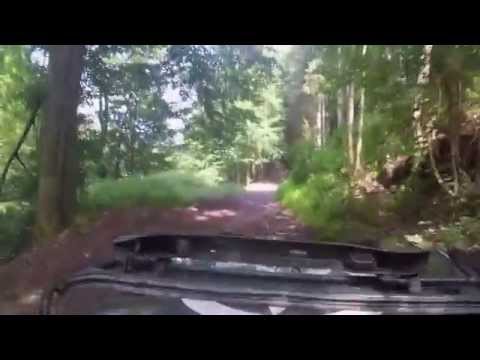 Jeep Willys GPW 1944 Offroad Ardennes