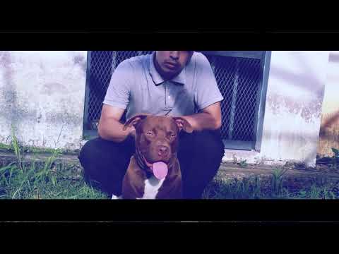 Toni M - Drill shit (VideoOfficial) #spanishdrill