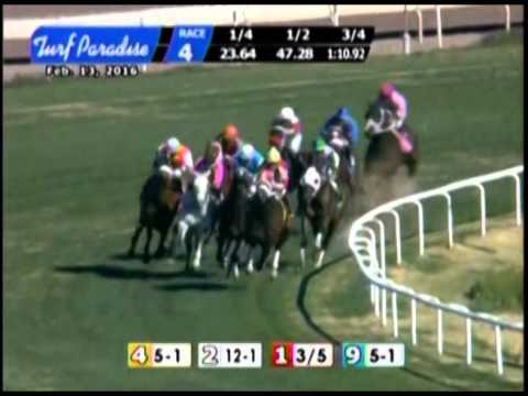 Turf Paradise Handicap 2016