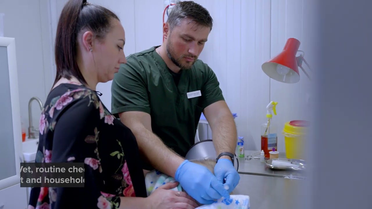The first veterinary clinic, supported by the EU and UNDP, has opened in Coșnița