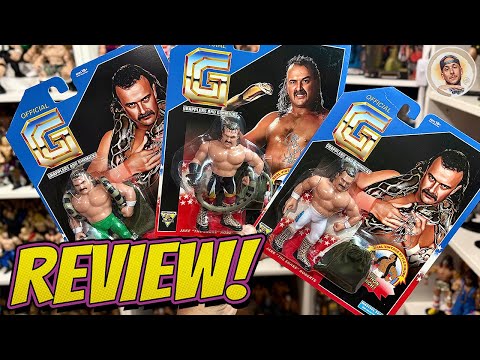 Jake The Snake Roberts Review
