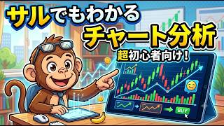 初心者限定】仮想通貨ビットコイン暗号資産でもドル円でも株価でも使えるチャート分析