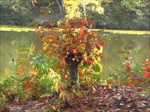 Vie mut kotiin  - Jesse Kaikuranta with Aatos Beck