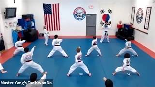 Live CLass - Double Black Stripe Belt - 5.28.20 @ 6:45pm