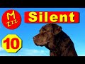 Silent Dog Whistle To Stop Dogs Barking Random Whistle Sounds Only Dogs Can Hear