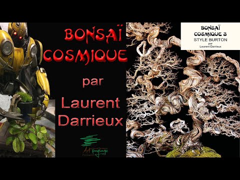 Cosmique Bonsaï, Conférence de Laurent Darrieux au 10ème anniversaire du Salon National du Bonsaï