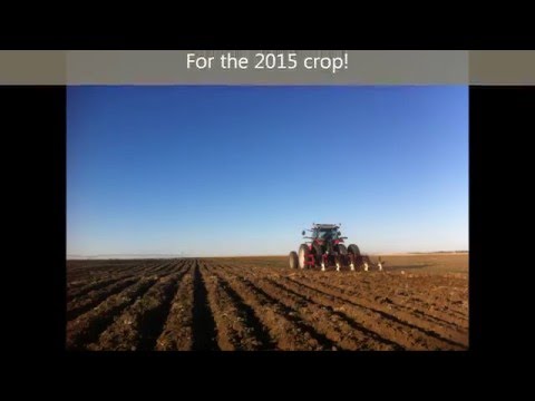 CP Farms Ltd. Planting and Harvest 2014