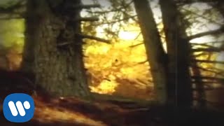 Shinedown - Lady So Divine (Official Video)