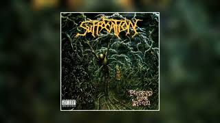 Download lagu Suffocation - Pierced from Within (1995) FULL ALBUM [HQ] mp3