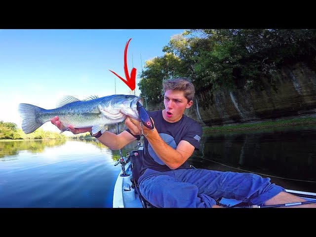 Bass Crushes GIANT Topwater Lure -- Clear Water Kayak Fishing