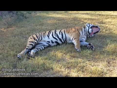 Melita's Landscaping Business | WATC 529